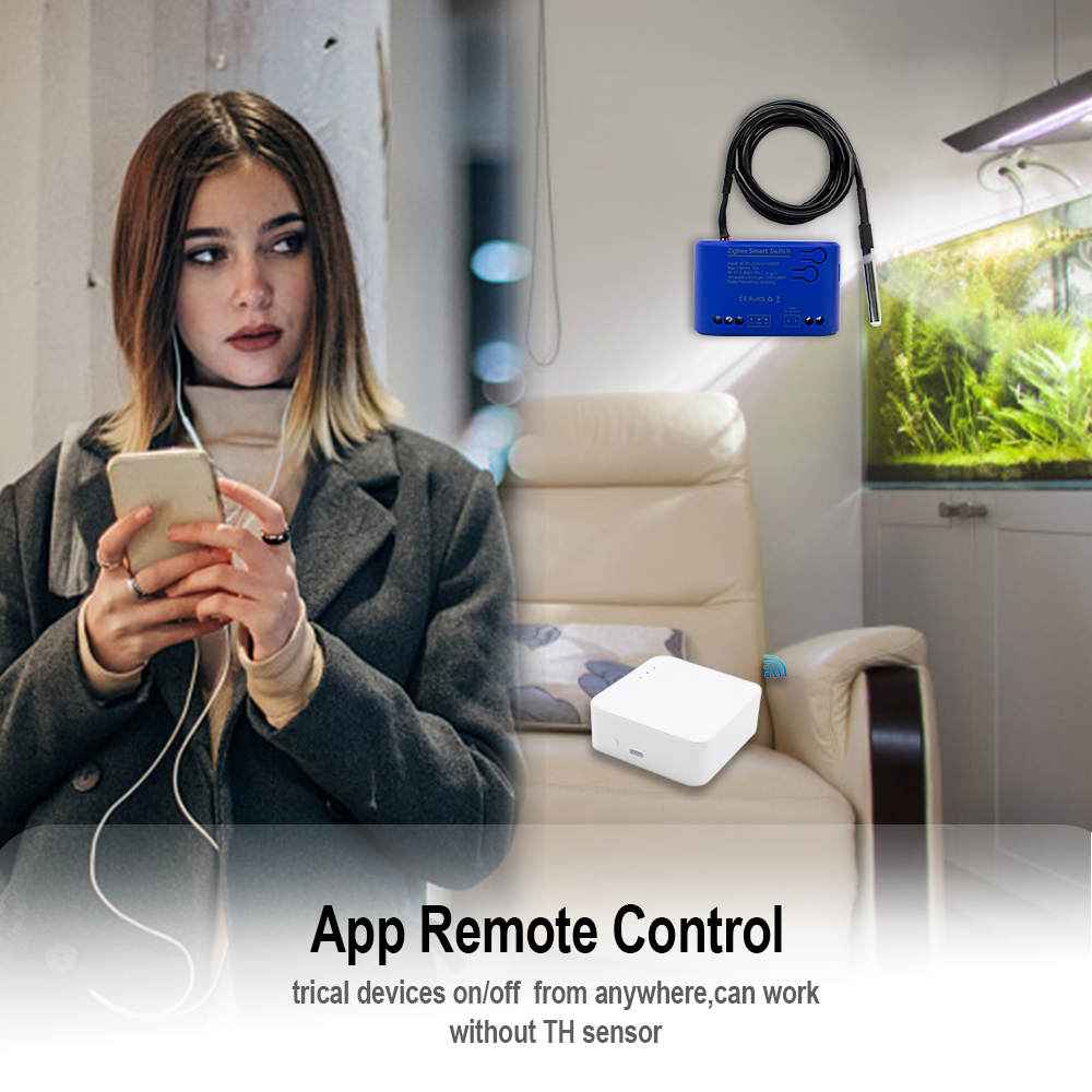 Zigbee-interruptor inteligente - Relay Module 1 Channel reseña y precio